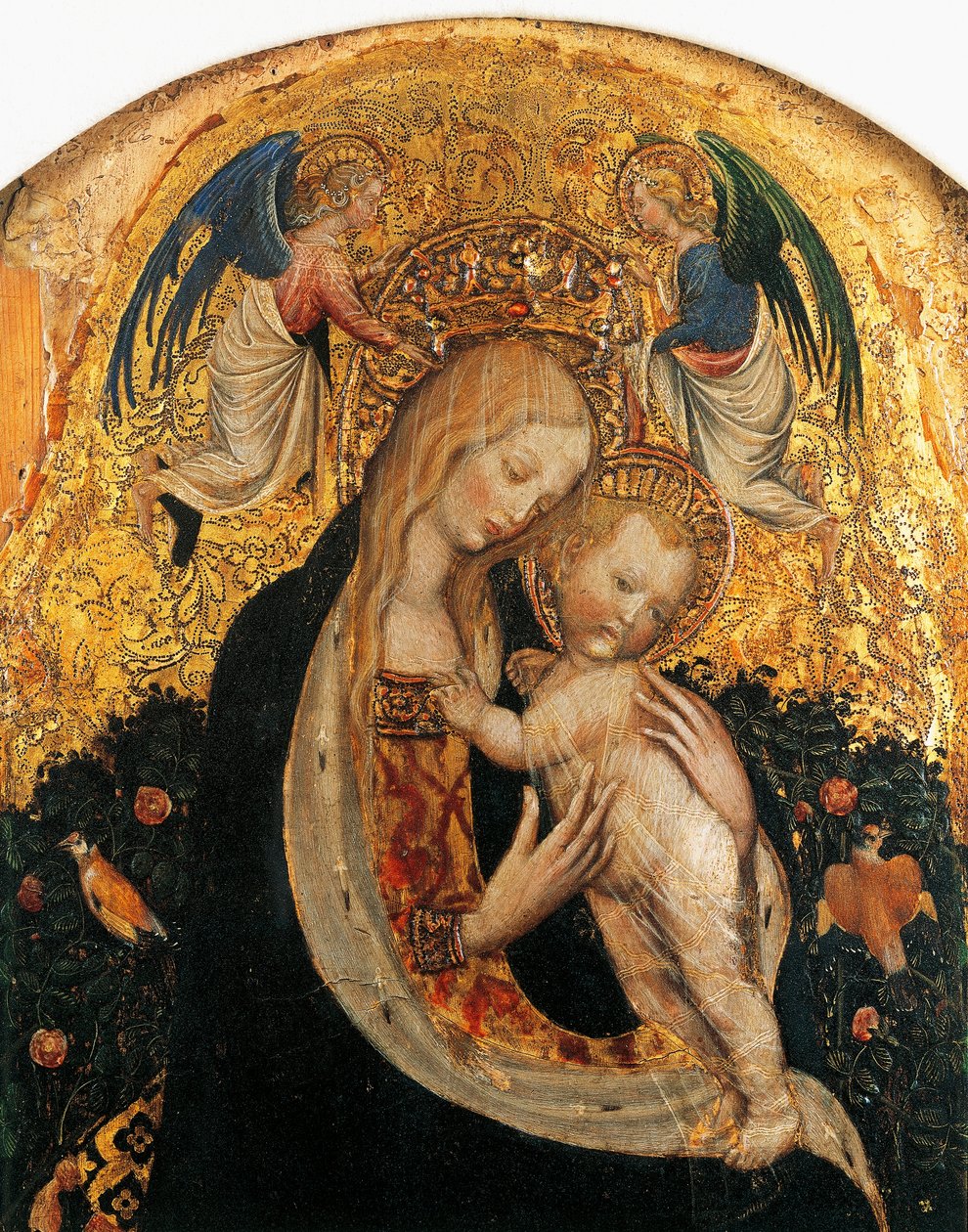 Madonna of quail (detail) by Antonio Pisanello