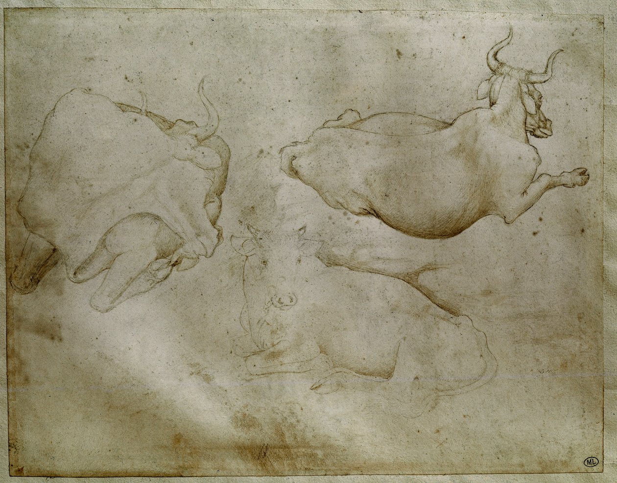 Two cows and a juniper. Drawing by Antonio di Puccio Pisano dit Pisanello by Antonio Pisanello
