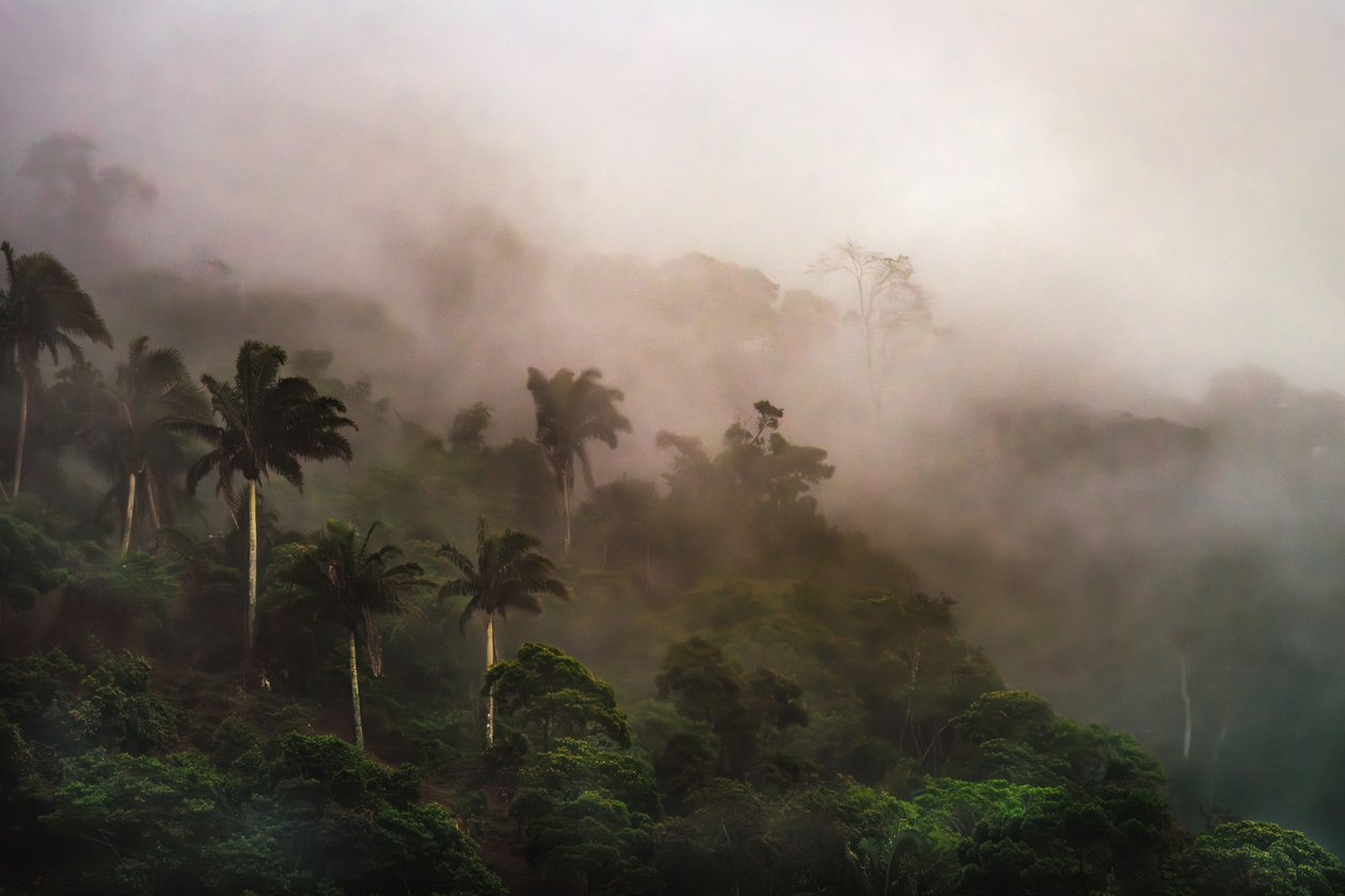 Corcovado XIX, 2020 by Antonio Schubert