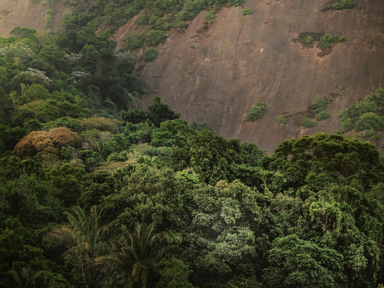 Corcovado XV, 2020 by Antonio Schubert