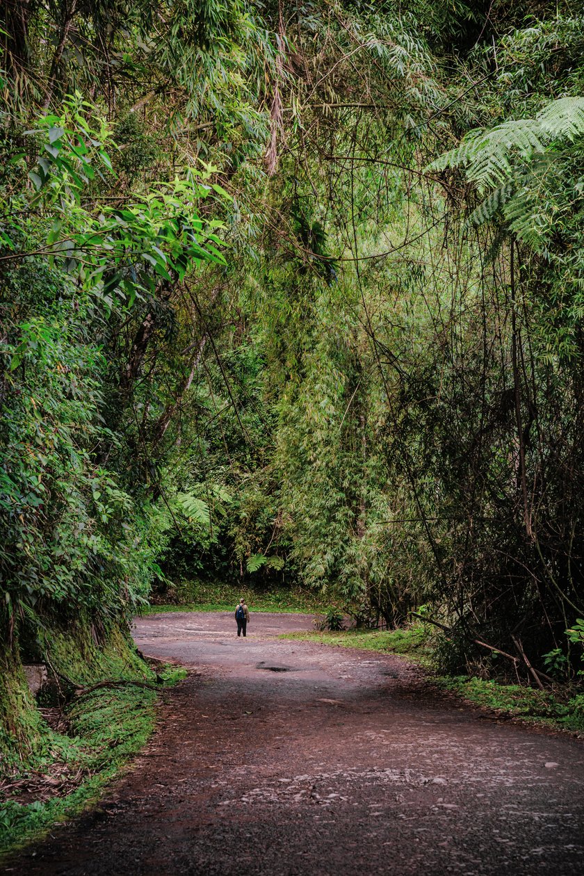 Mantiqueira XLIII, 2015 by Antonio Schubert