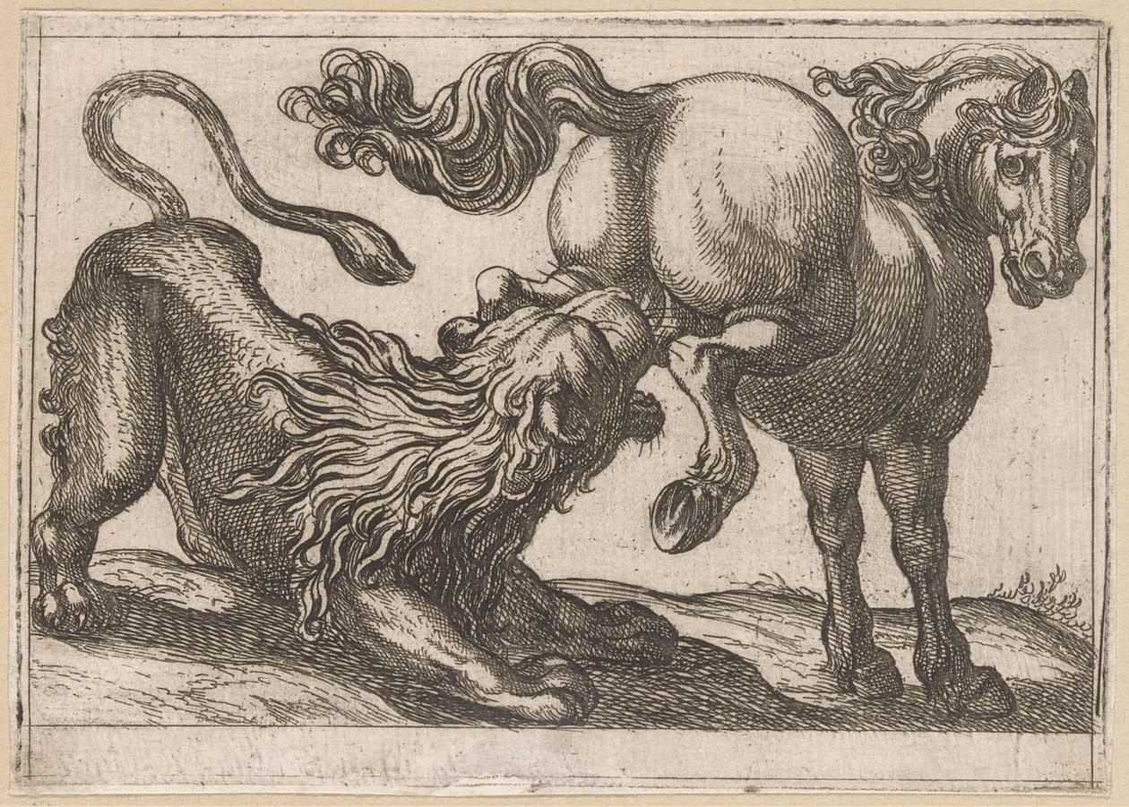 A Horse Trampling a Lion (Fighting Animals) by Antonio Tempesta