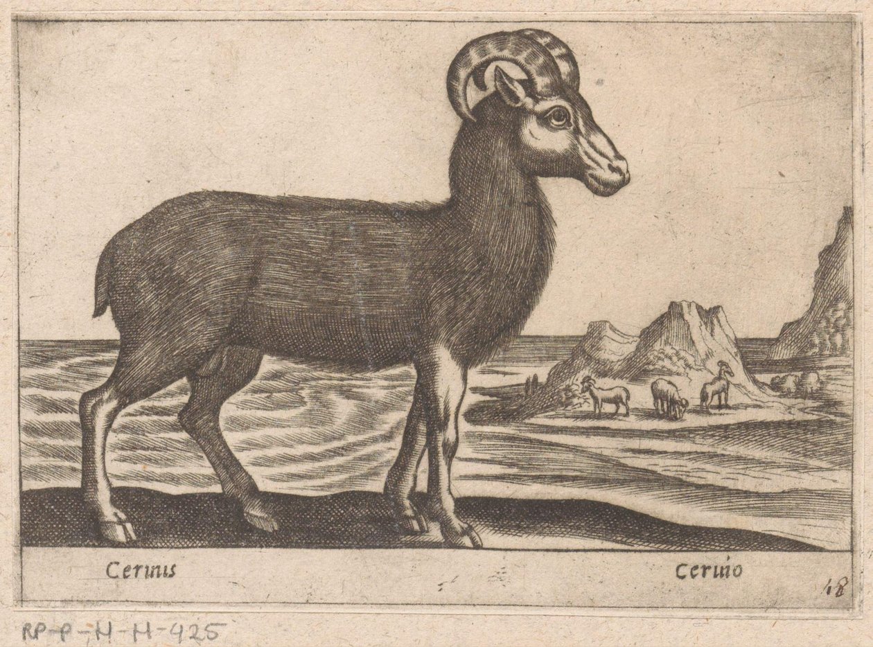 Chamois by Antonio Tempesta