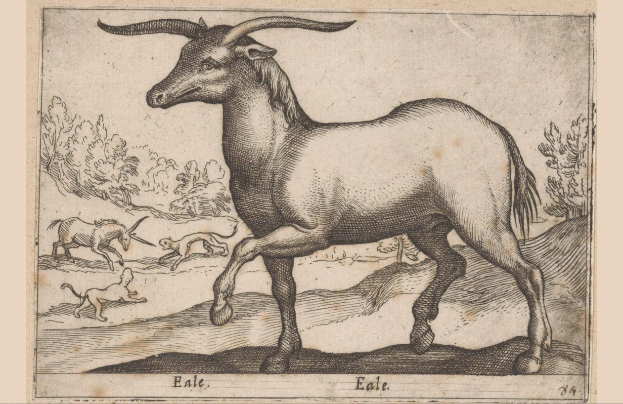 Horse with Horns (Eale, Animals and Fabulous Creatures, Nova raccolta de li animali piu curiosi del mondo) by Antonio Tempesta