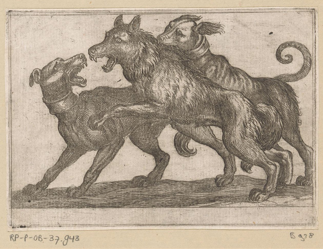 Two Dogs Fighting a Wolf by Antonio Tempesta