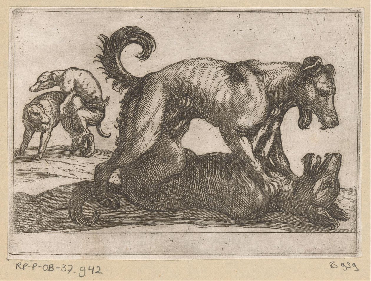 Two Mating and Two Fighting Dogs Fighting Animals (series title) by Antonio Tempesta