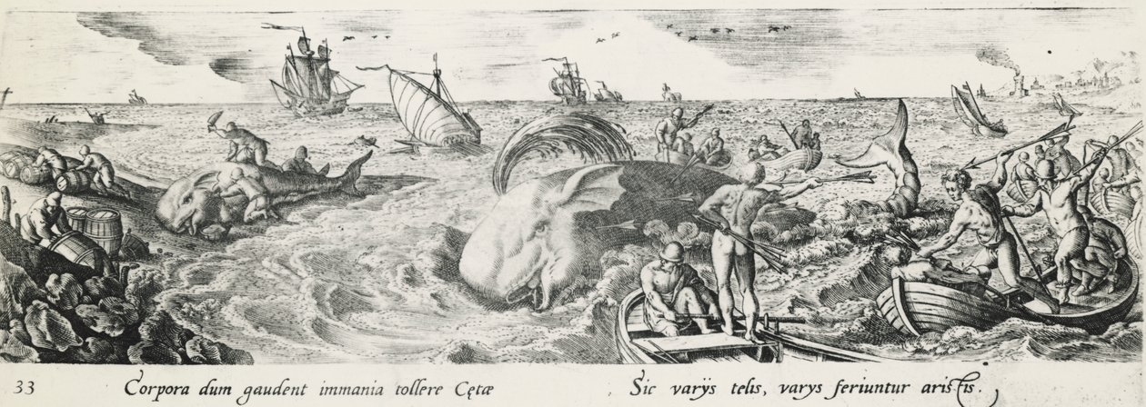Whale hunting (engraving) by Antonio Tempesta