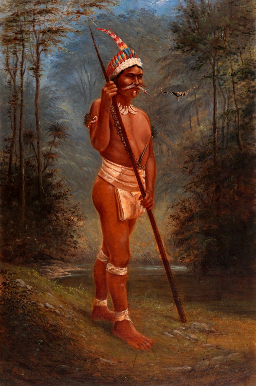 Zaparo Stock by Antonio Zeno Shindler