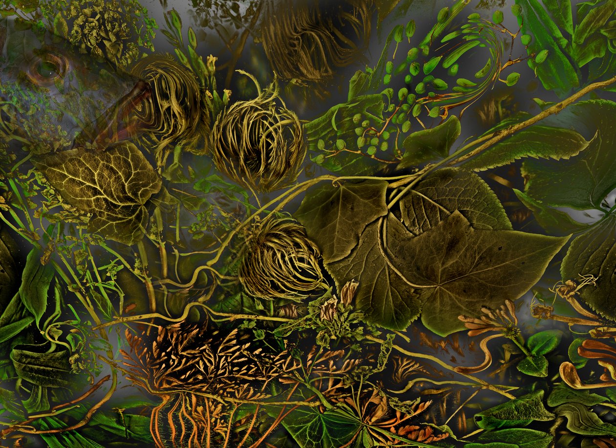 Otherworld No.7, 2014 by Antonius Antonius