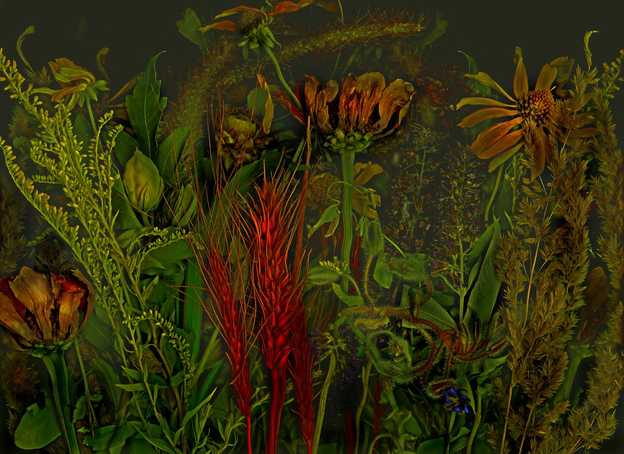 Anderswelt No.92, 2019 by Antonius Antonius