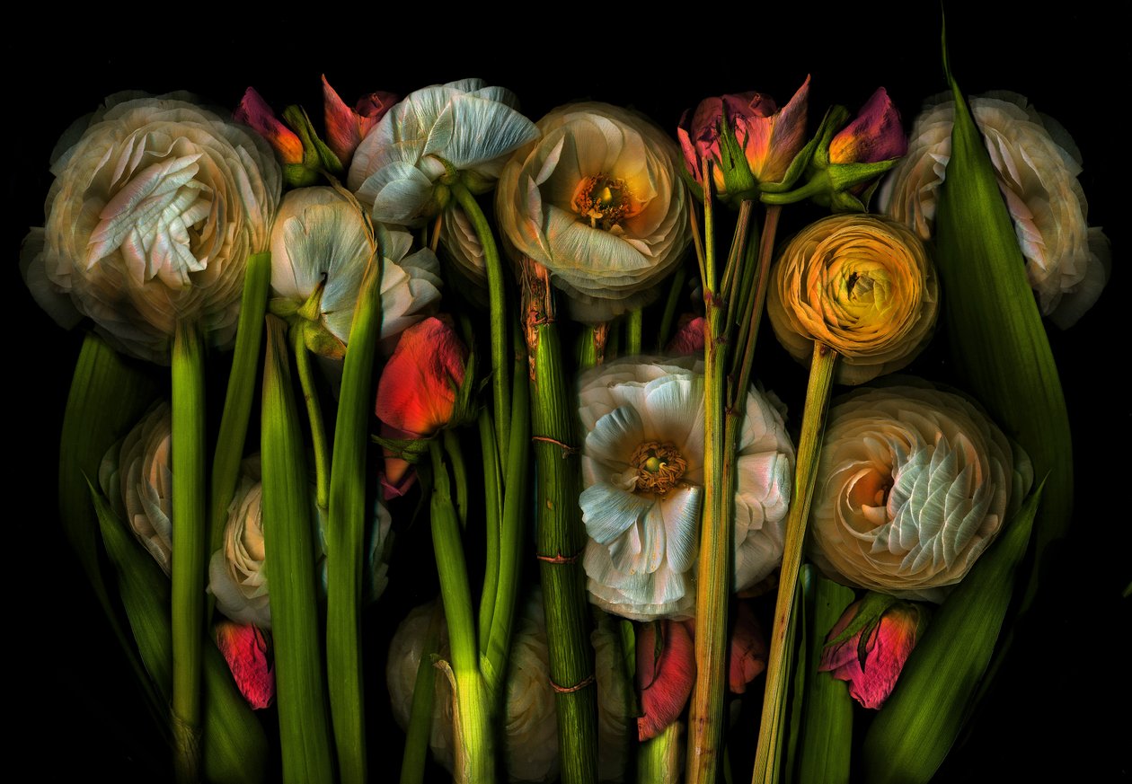 Earthart Flora No.3, 2024 by Antonius Antonius