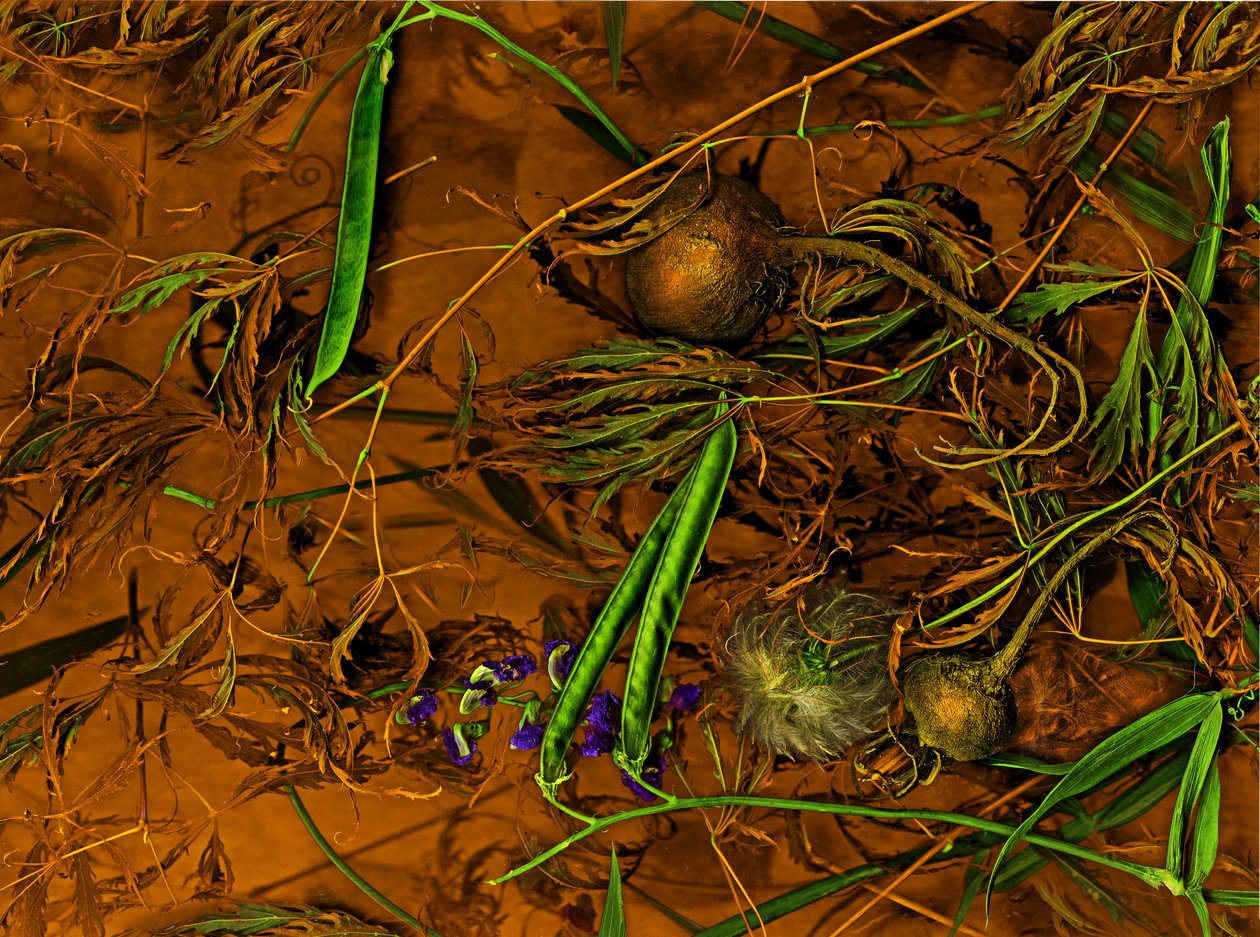 Earthart No.2, 2014 by Antonius Antonius