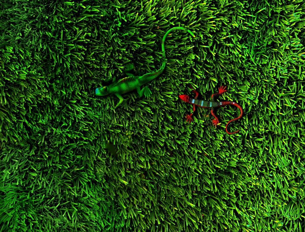 Grass-4, 2014 by Antonius Antonius