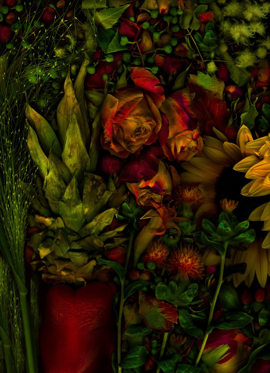 Magic Garden No.26, 2011 by Antonius Antonius