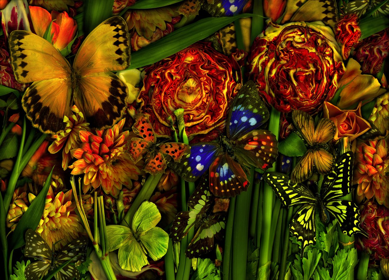 Summertime, 2012 by Antonius Antonius