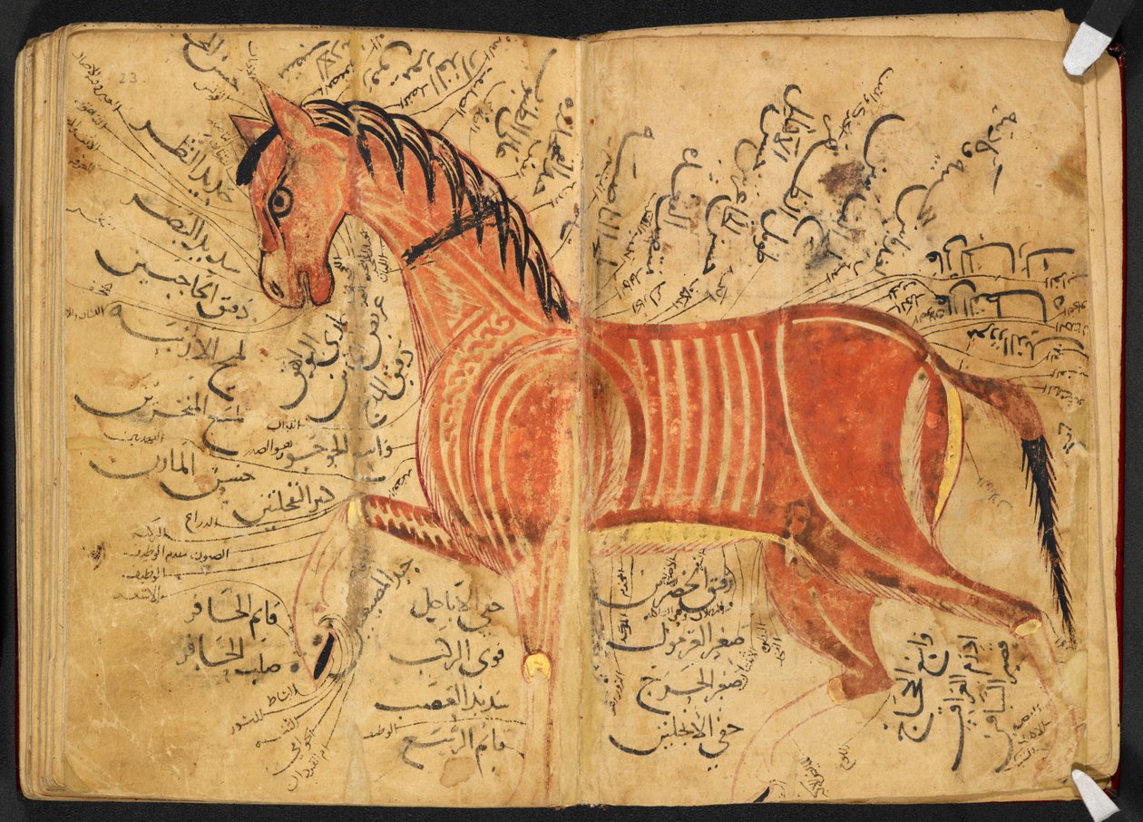 Horse, from 