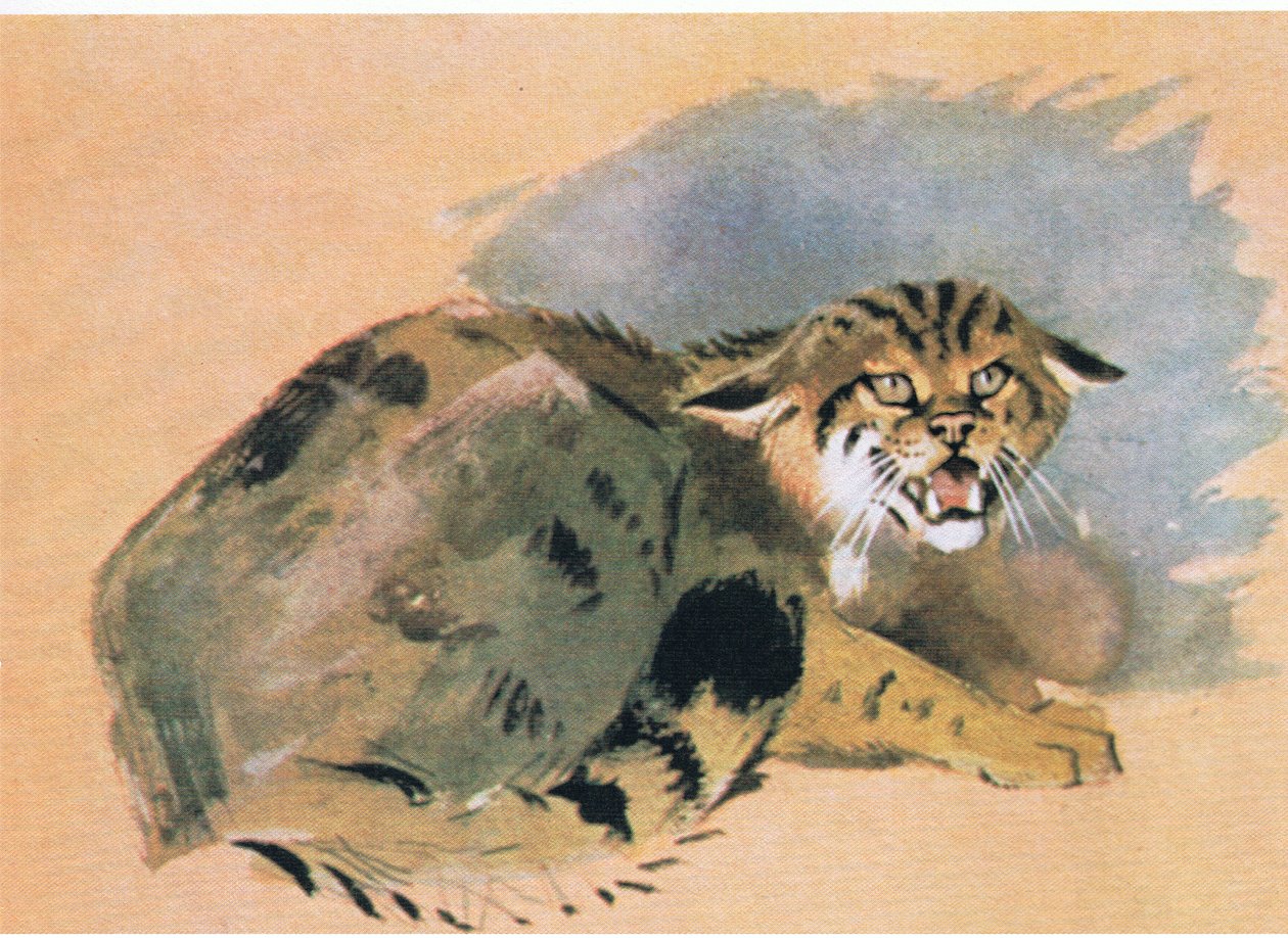 Wildcat by Archibald Thorburn