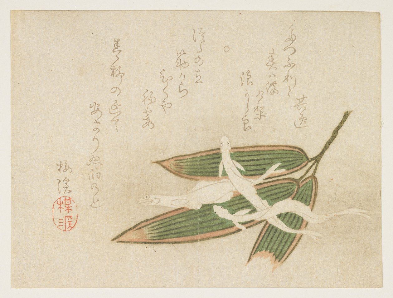 Whitebait and Bamboo Leaves, c. 1860 by Ariwara Baikei