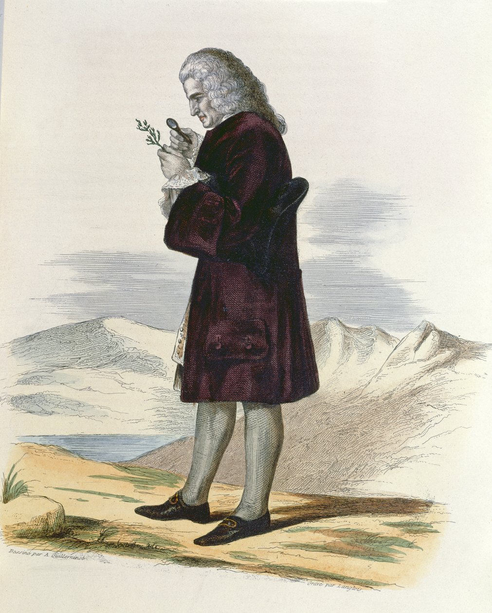 Bernard de Jussieu, c.1820 by Armand Guilleminot