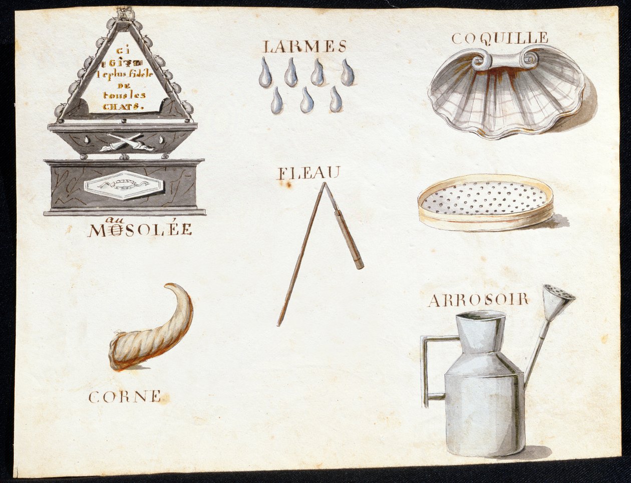 Illustrations from 