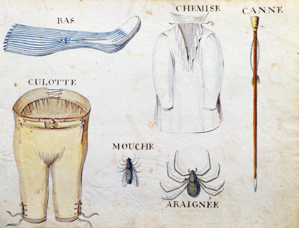 Illustrations from 
