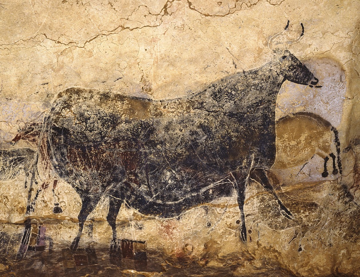 Black Cow (Cave painting of Lascaux, ca 16,000-15,000 BC) by Art of the Upper Paleolithic.