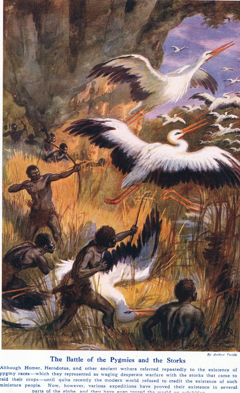 Battle of the Pygmies and the Storks, Illustration from 