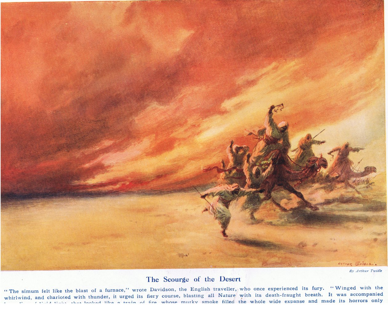 The Scourge of the Desert, Illustration from 