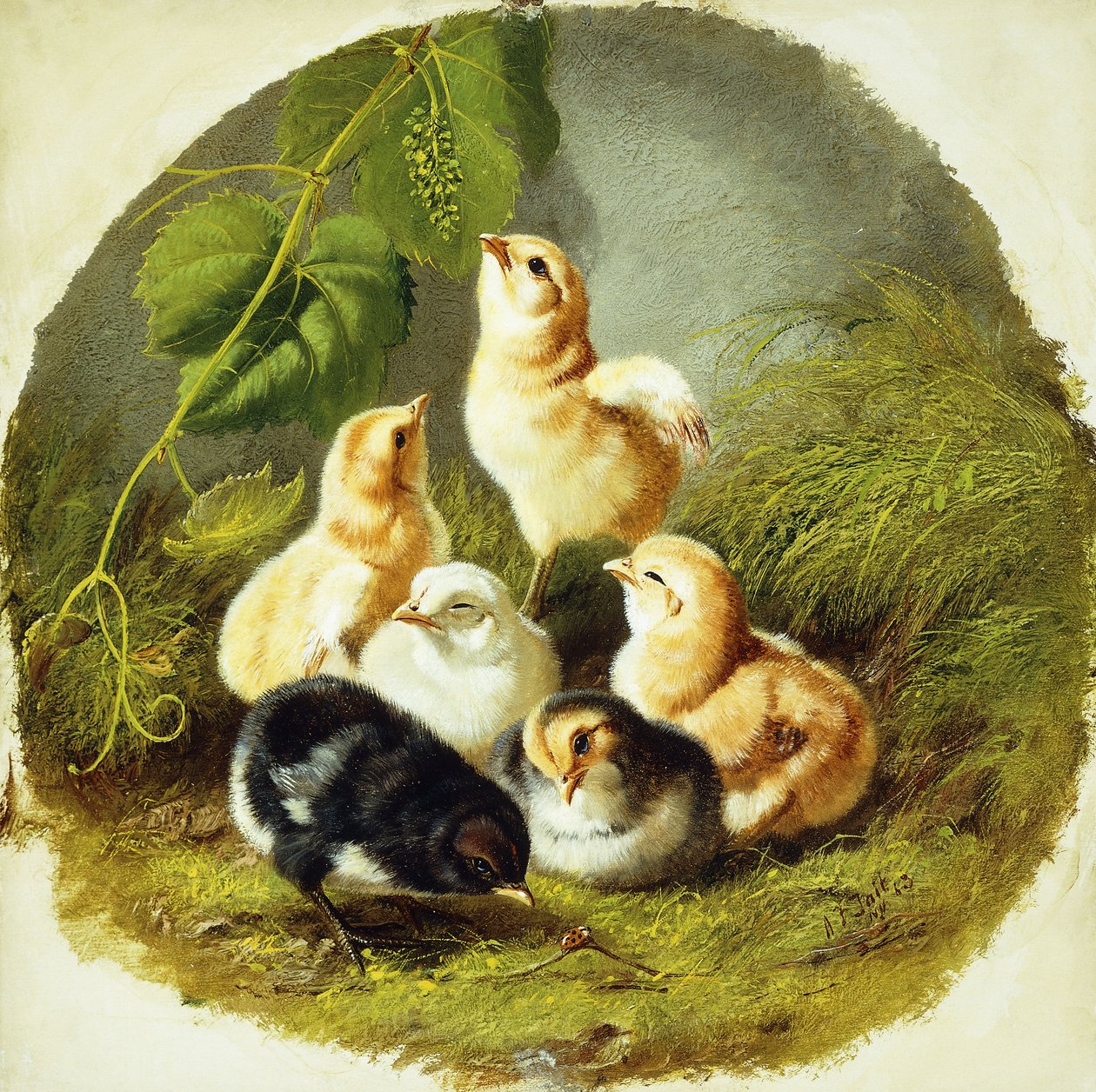 Chicks by Arthur Fitzwilliam Tait