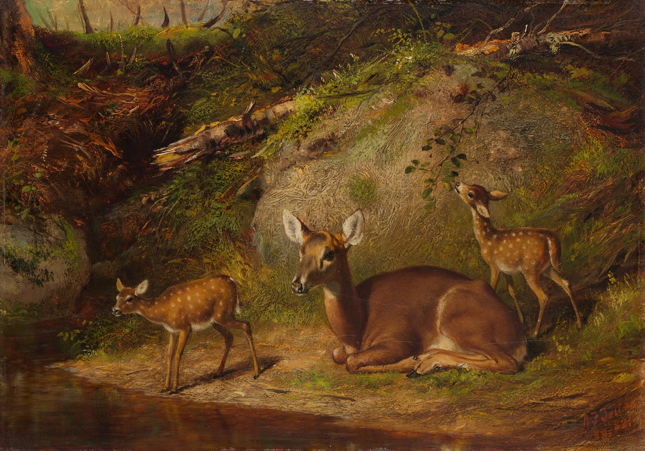 Doe and Two Fawns by Arthur Fitzwilliam Tait