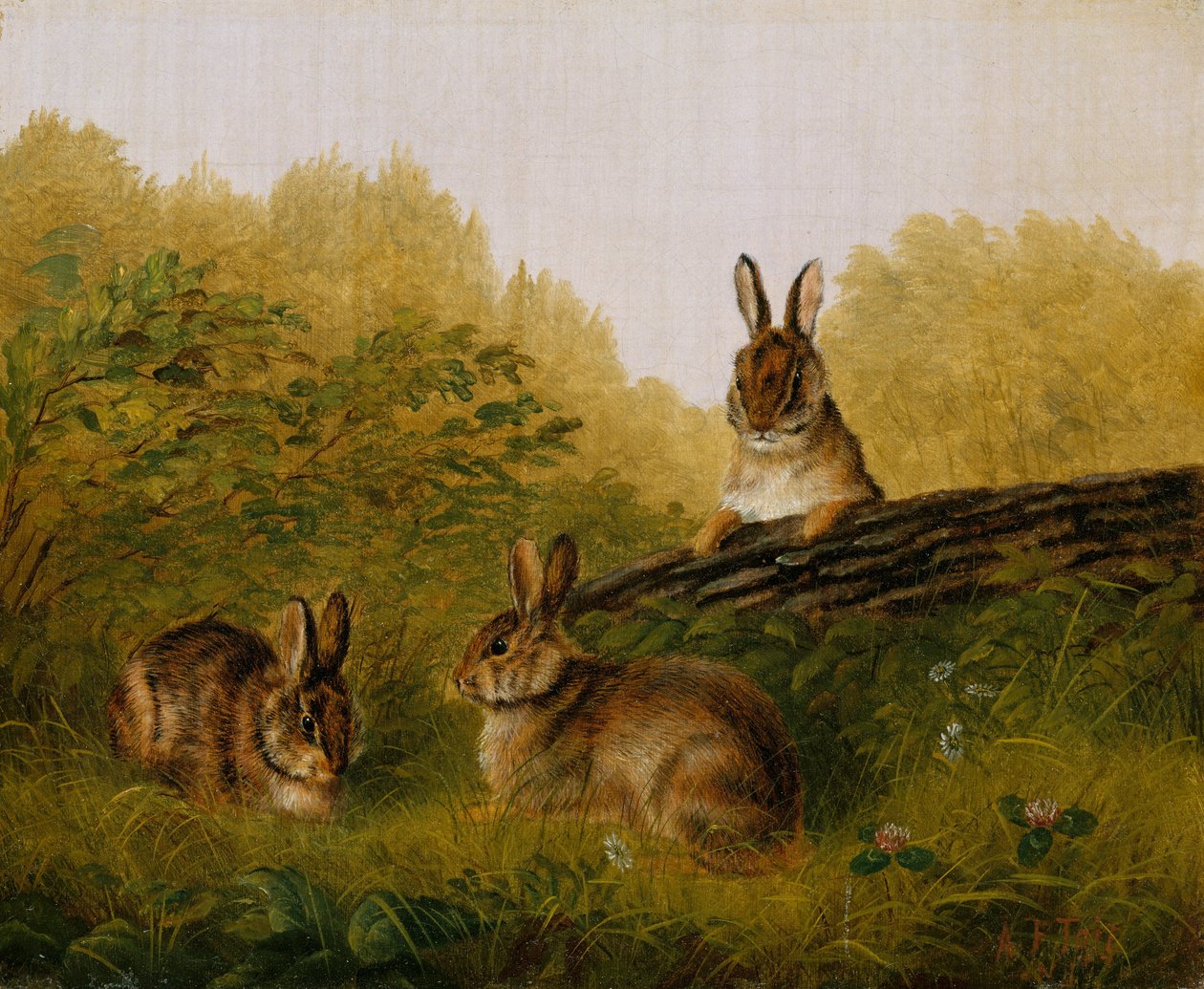 Rabbits on a Log by Arthur Fitzwilliam Tait