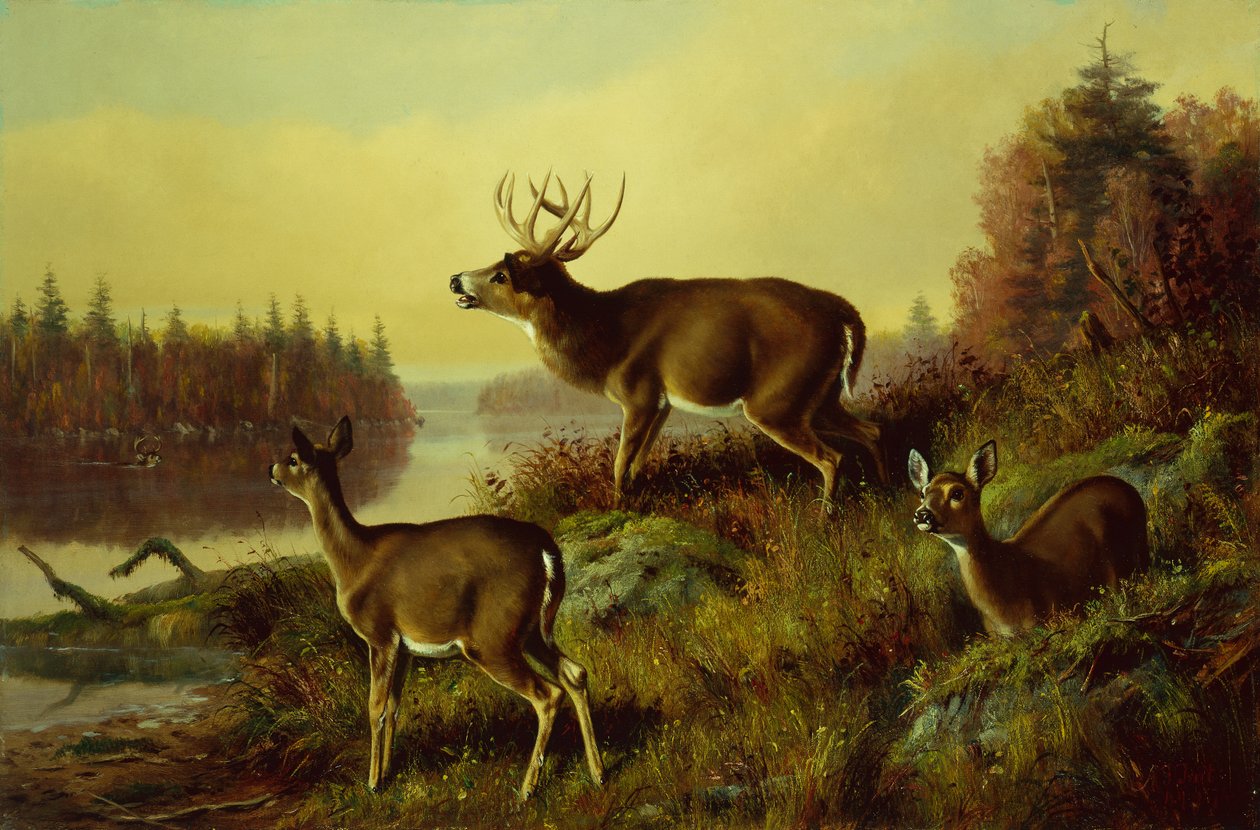 The Challenge by Arthur Fitzwilliam Tait