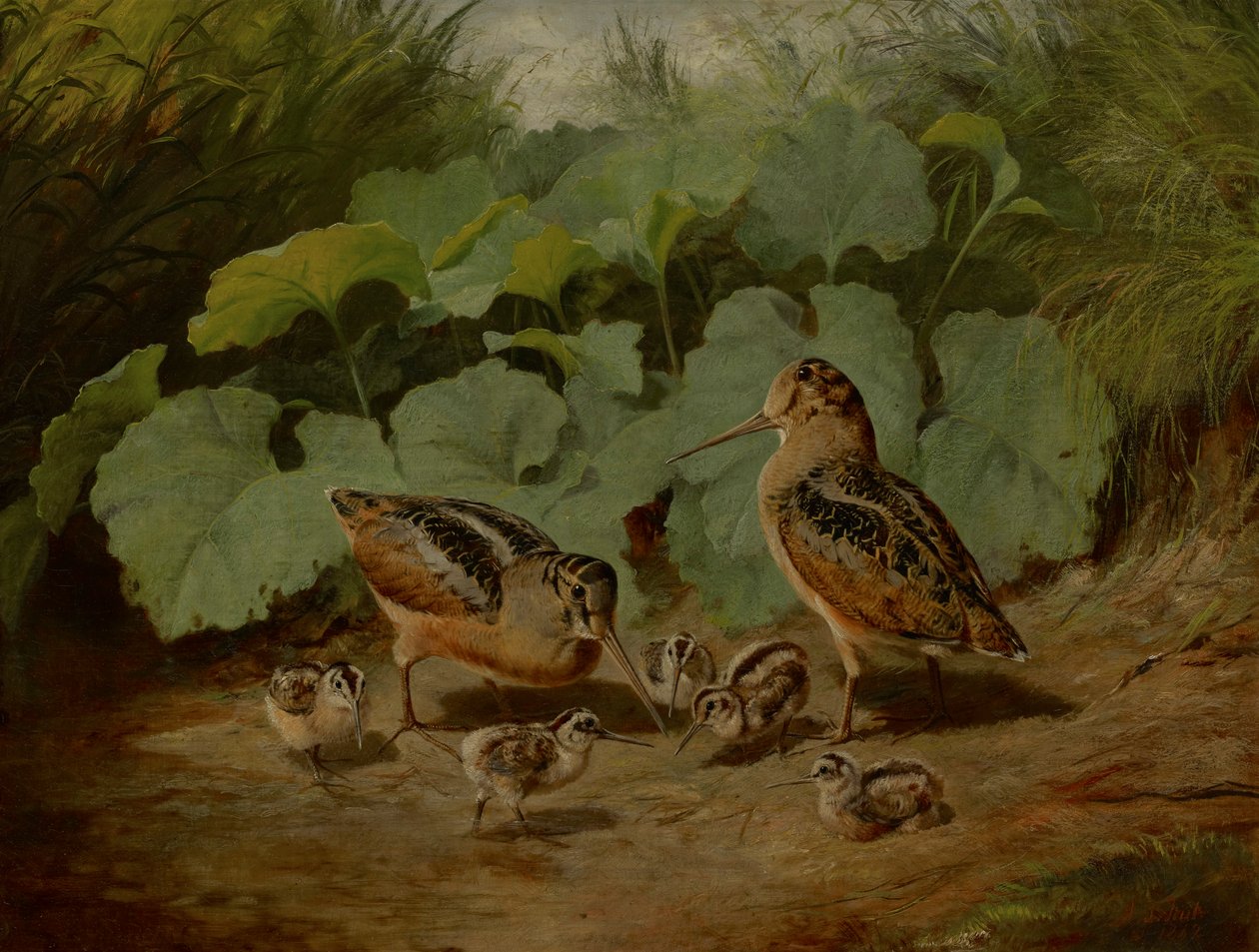 Woodcock and Young by Arthur Fitzwilliam Tait
