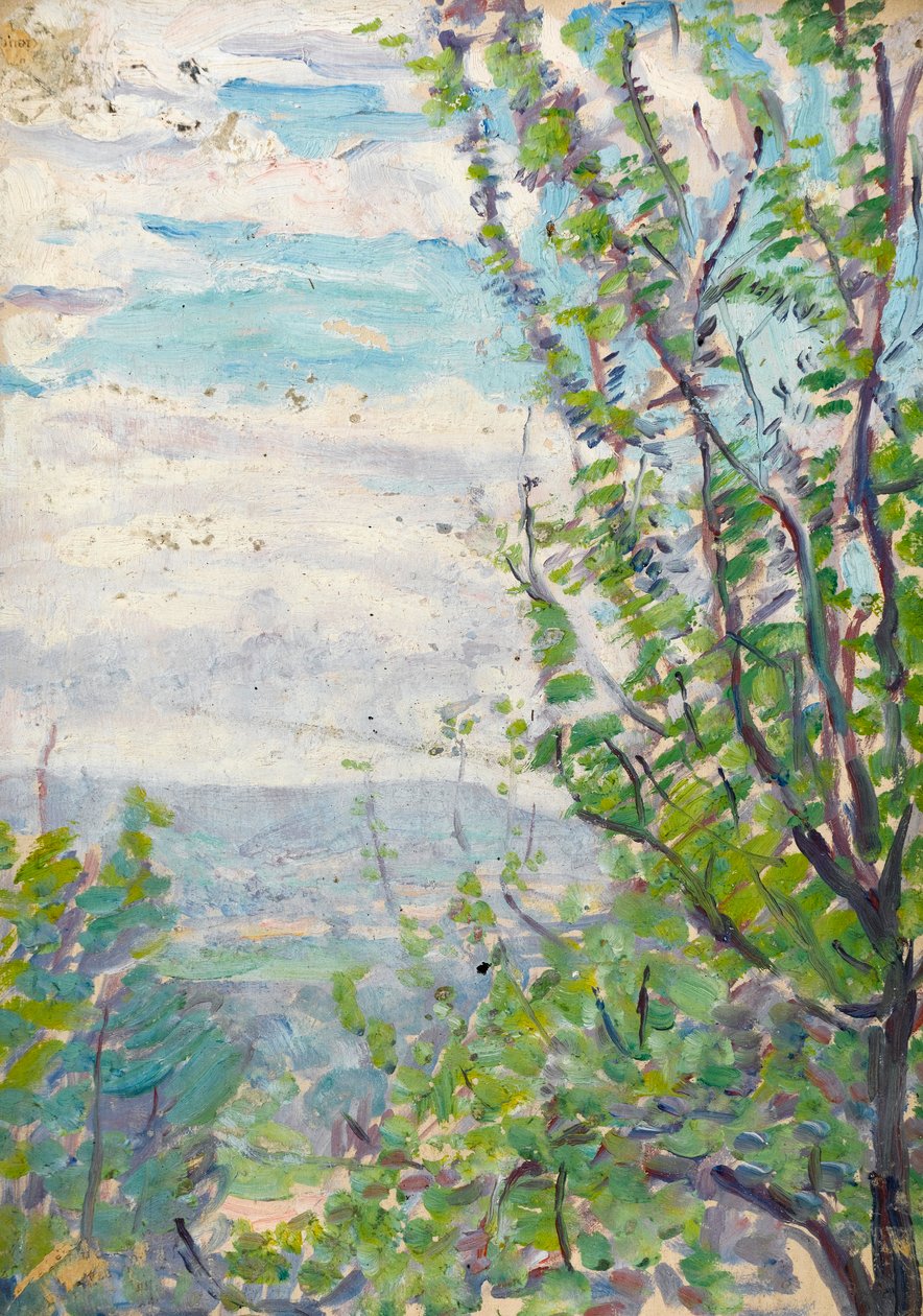 Blue Sky and Clouds with Branches of Fruit Trees to the Fore by Arthur Haythorne Studd