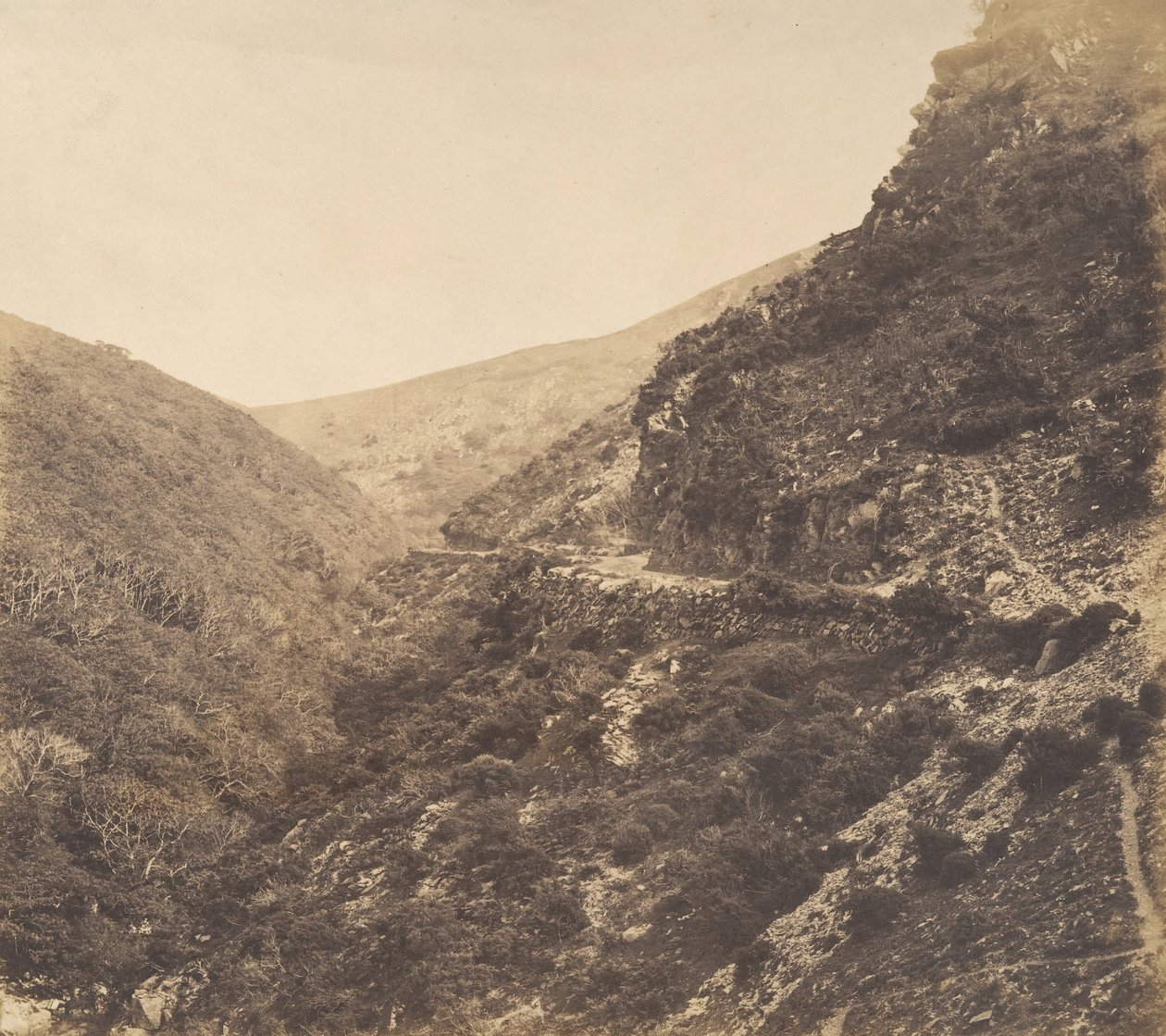 On the Road to Watersmeet, Near Lynton, North Devon by Arthur Julius Pollock
