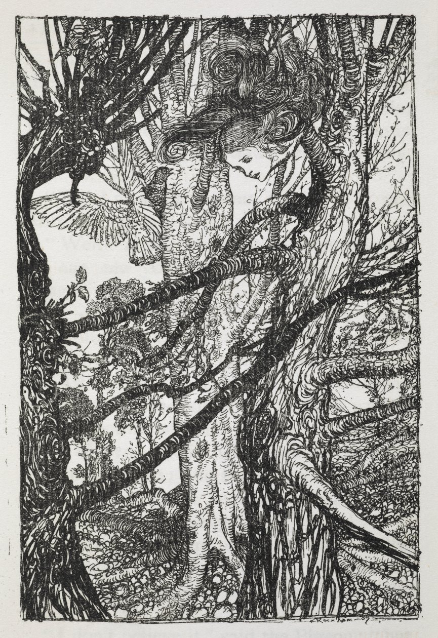 Alice as a Serpent Talking to a Pigeon by Arthur Rackham