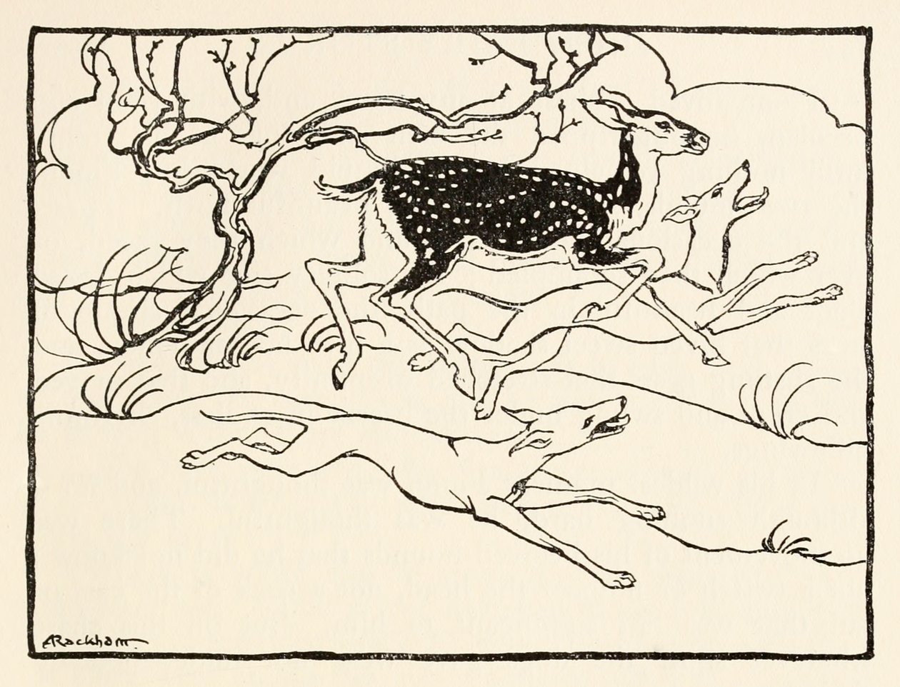 Becfola in her chariot from The Wooing of Becfola in Irish Fairy Tales by Arthur Rackham