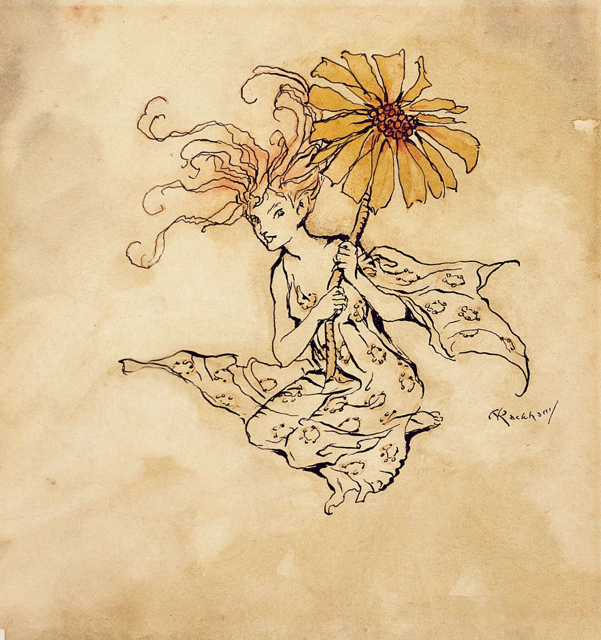 Daisy Fairy, illustration from Peter Pan in Kensington Gardens, by J.M. Barrie, published 1912 by Arthur Rackham