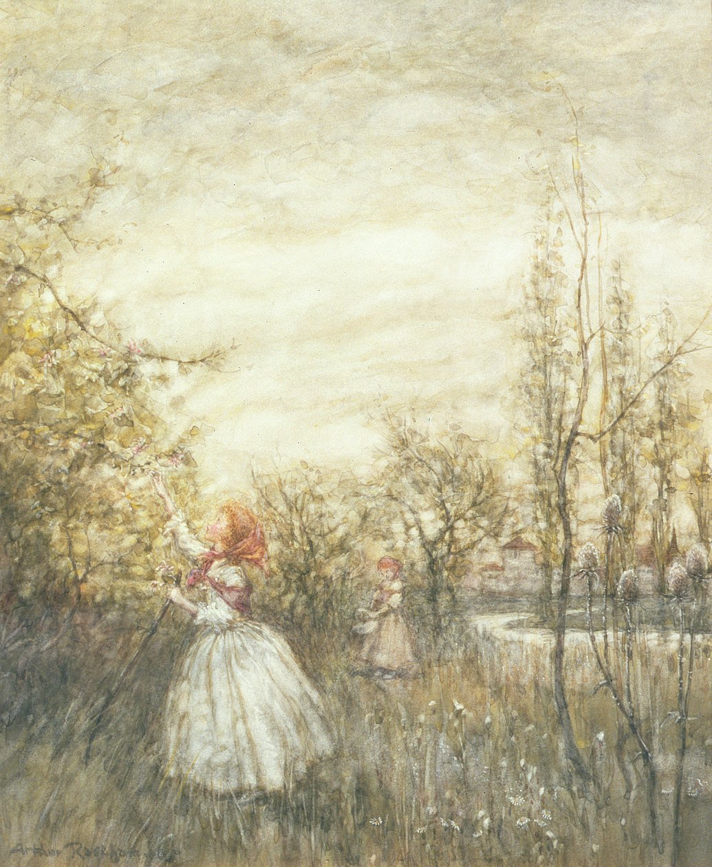 Honeysuckle, 1905 by Arthur Rackham
