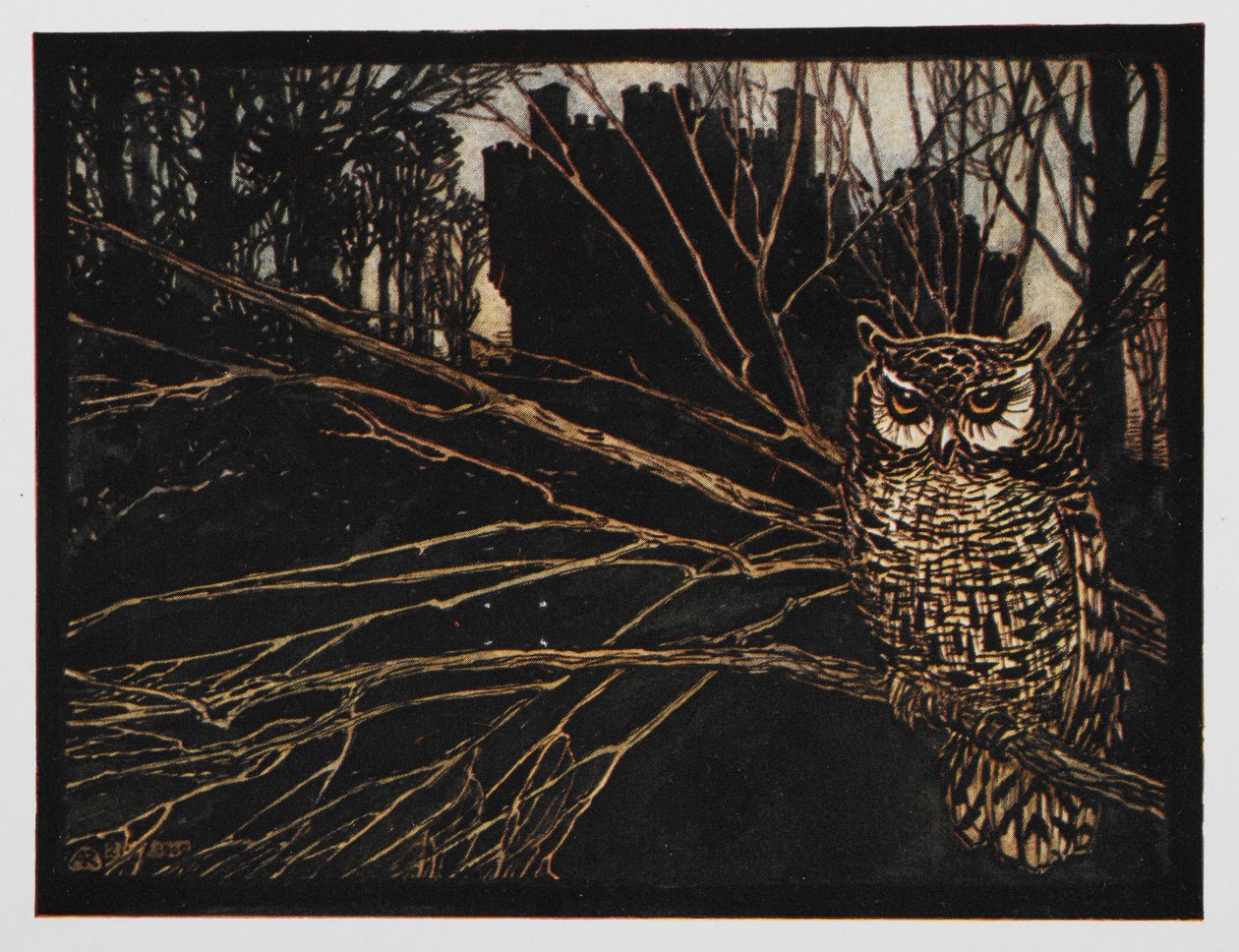 Illustration from Jorinda and Joringel of a screech owl by Arthur Rackham