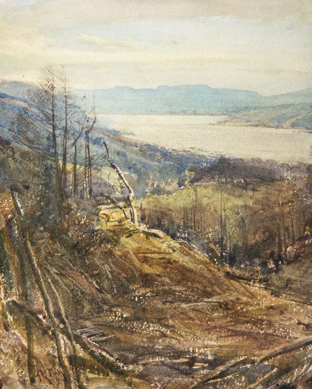 Coniston from Near Tarn Hows by Arthur Reginald Smith