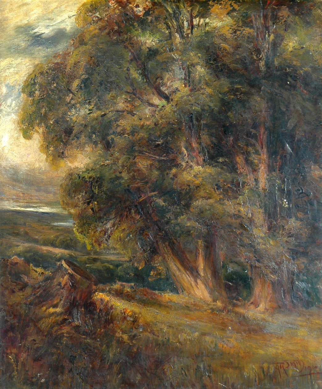 Tree Study by Arthur Reginald Smith