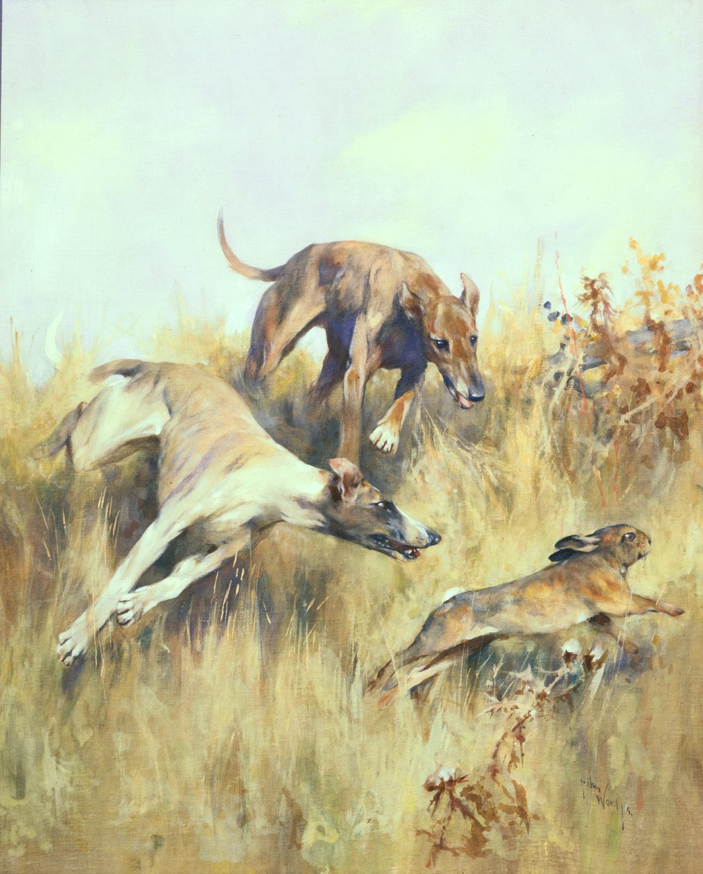 Greyhounds Giving Chase by Arthur Wardle