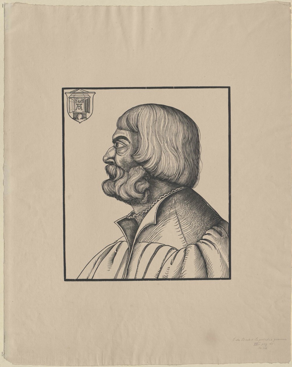Albrecht Dürer by Artist Unknown