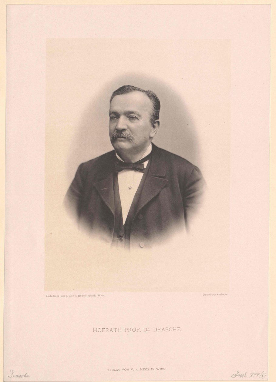 Anton Ritter Drasche by Artist Unknown