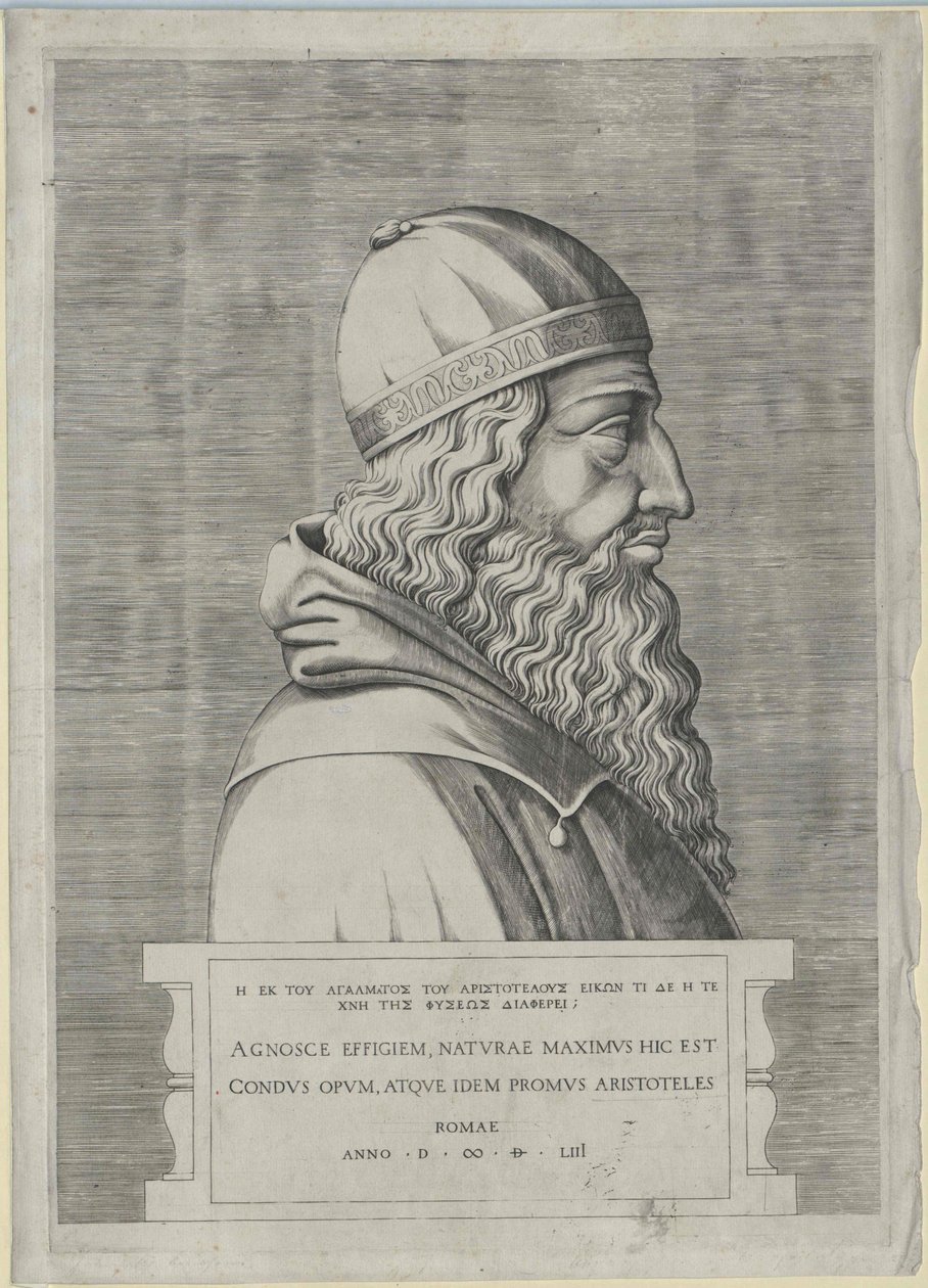 Aristotle by Artist Unknown