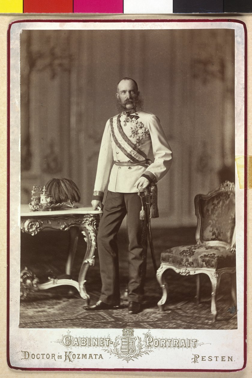 Franz Joseph I by Artist Unknown