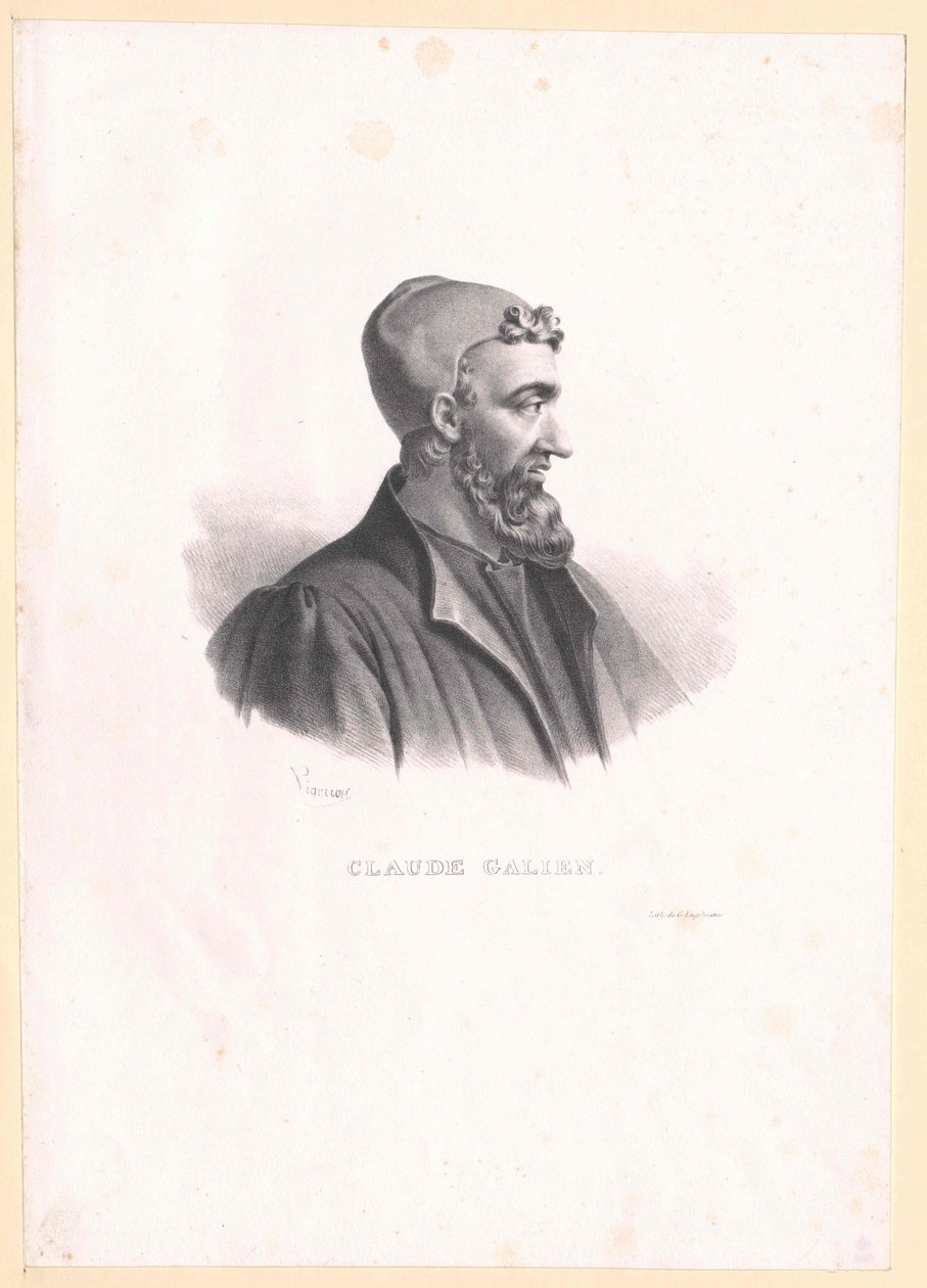 Galen by Artist Unknown