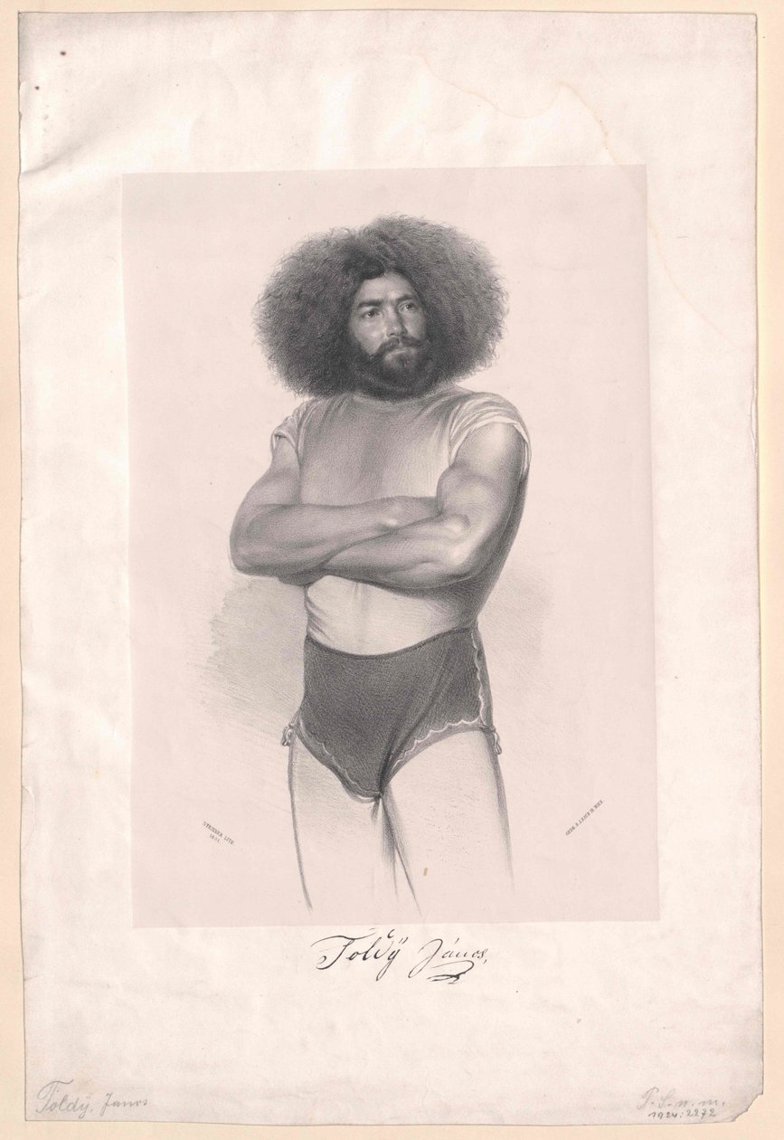 Janos Toldy by Artist Unknown