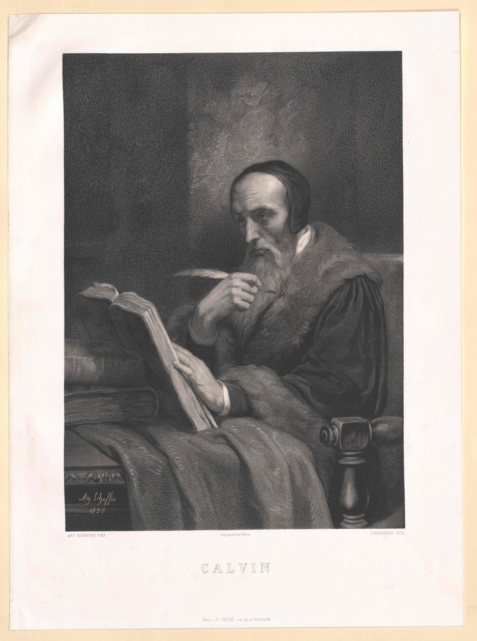 Johann Calvi by Artist Unknown